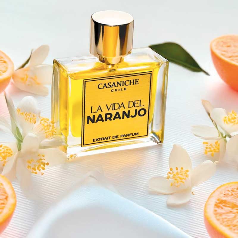 Perfume La Vida del Naranjo de Casaniche Chile, fragancia cítrica y vibrante disponible en Maison Niche en Bodega Italia
