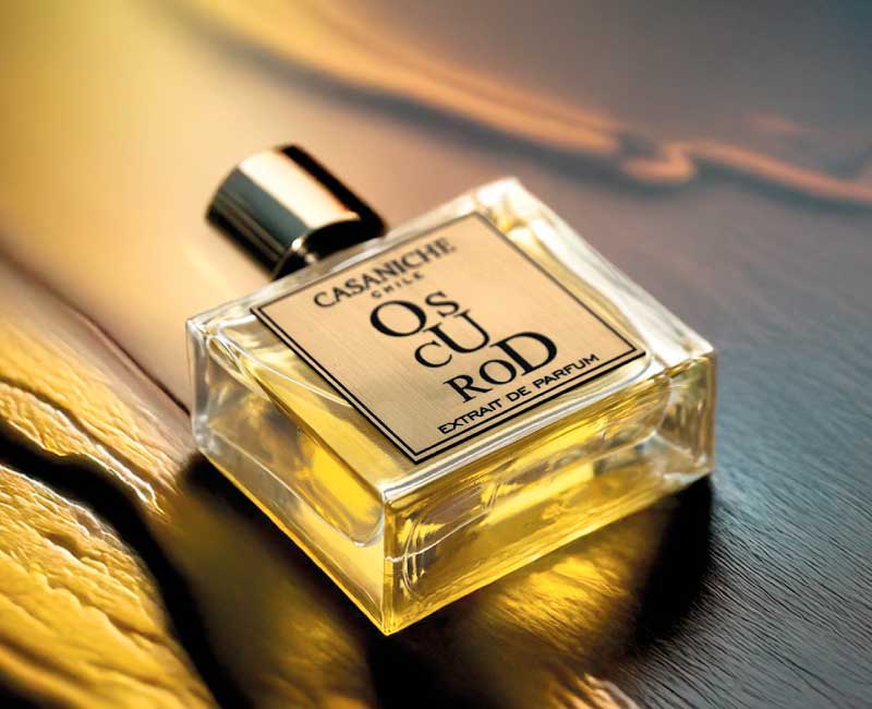 perfume-oscurod-casaniche-chile-maison-niche Perfume Oscurod de Casaniche Chile, fragancia de autor exclusiva disponible en Maison Niche en Bodega Italia